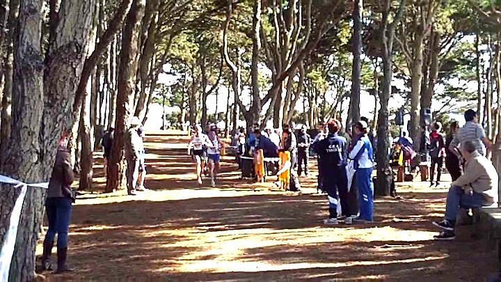 campo-a-traves